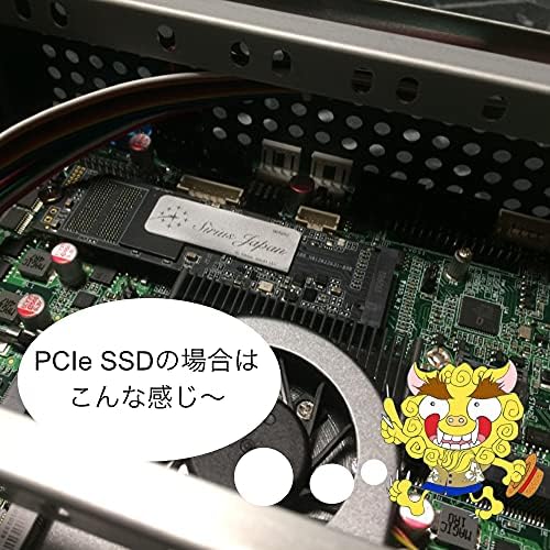 SIRIUS SSD 1TB M.2 2242 DSDM4-1T