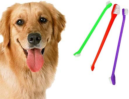 קשת Dogtra Dandsfree פלוס אימוני כלבים מרוחקים צווארון אלקטרוני הניתן להרחבה ל -2 כלבים עם ריבוע חינם לחסרי דיסקרטי ומדויק של טווח טווח אטום למים נטען בארגונומי 3/4 מייל